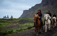 Your Friend in Reykjavik1