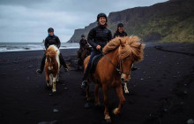 Your Friend in Reykjavik10