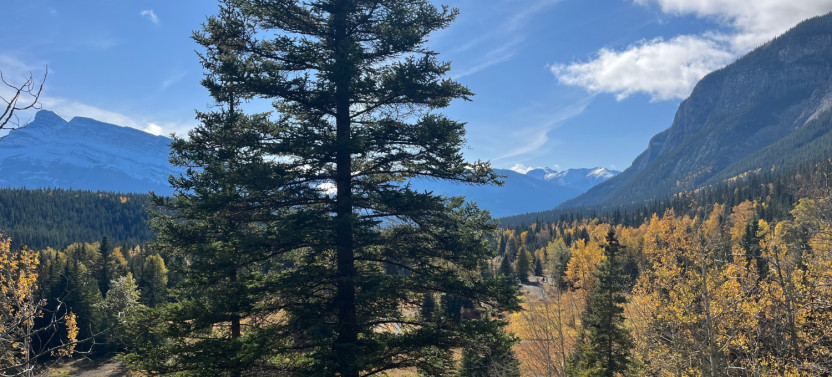 Lake Louise And Moraine Self-Guided Driving Audio Tour