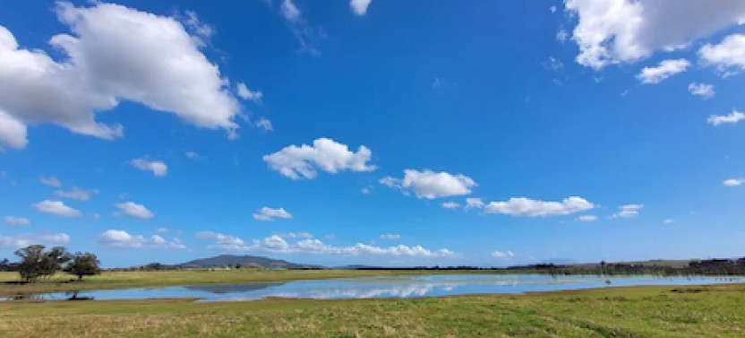 Cape Town Safari & Stellenbosch Wine Tour