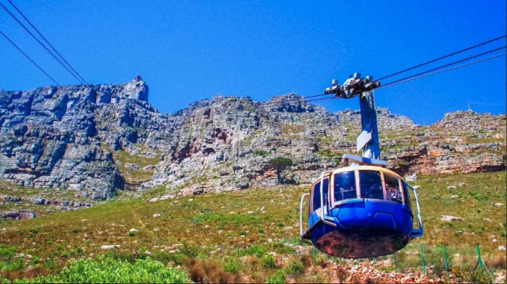 Half-Day Cape Town & Table Mountain Tour