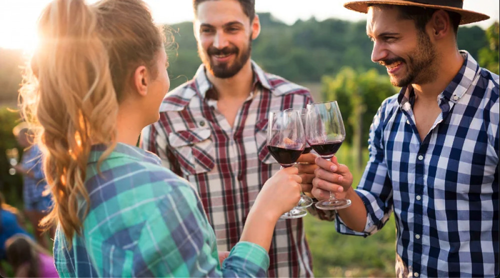 Stellenbosch Wine Tour - Half-Day