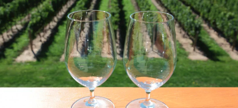 Cape Town Wine Tour: Paarl, Stellenbosch & Franschhoek