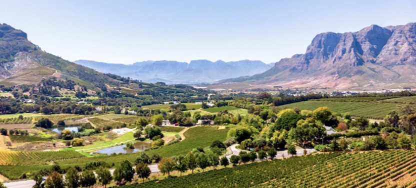 Cape Town Wine Tour: Paarl, Stellenbosch & Franschhoek