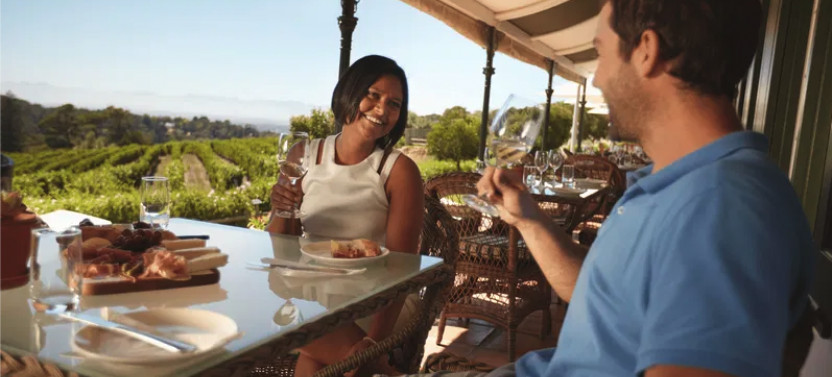 Cape Town Wine Tour: Paarl, Stellenbosch & Franschhoek