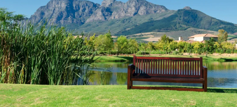 Cape Town Wine Tour: Paarl, Stellenbosch & Franschhoek