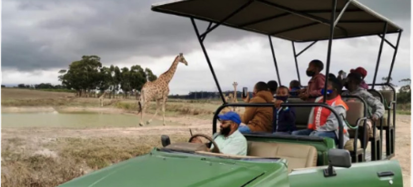 Cape Town Safari & Stellenbosch Wine Tour