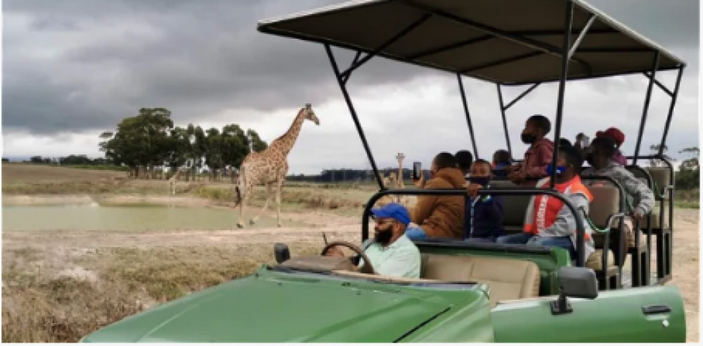 Cape Town Safari & Stellenbosch Wine Tour