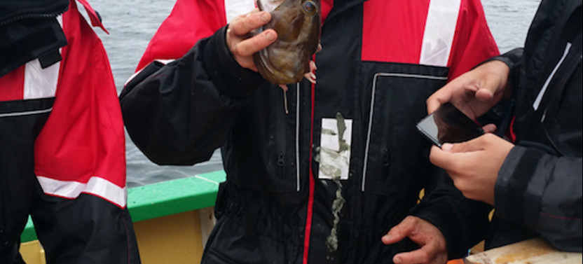 Fishing Trip From Svolvaer