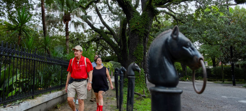Explore Historic New Orleans: Hidden Garden District Tour!