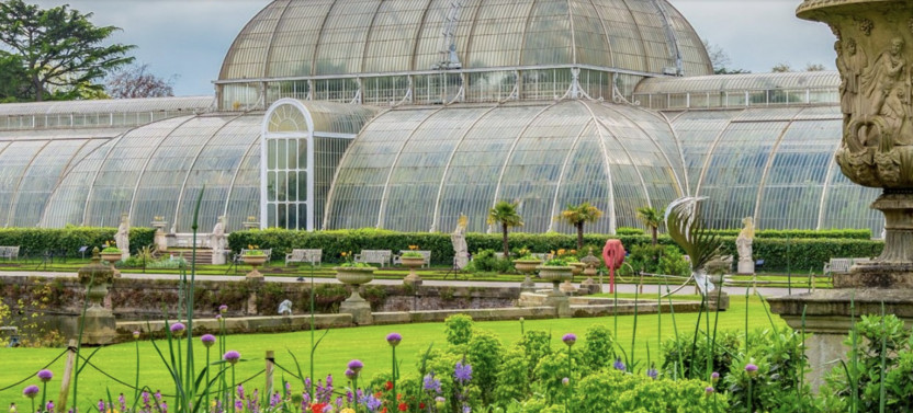 Kew Gardens: Rare Plant Species, Incredible Exhibitions, Gardens, & Palace