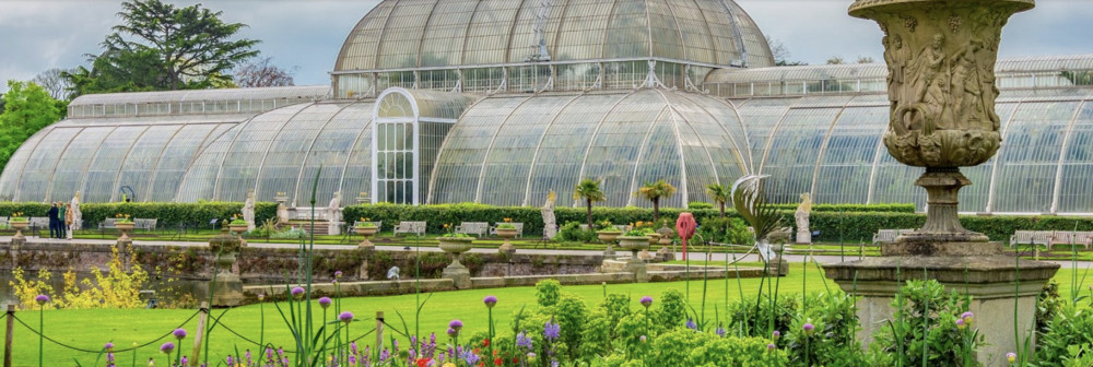 Kew Gardens: Rare Plant Species, Incredible Exhibitions, Gardens, & Palace