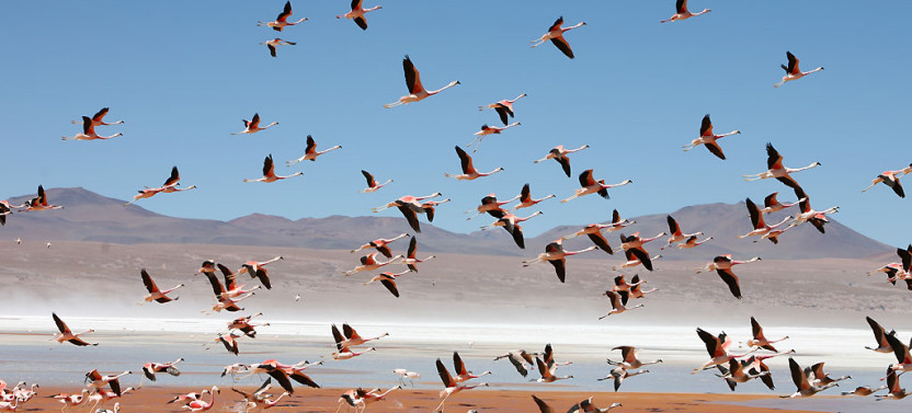 14 Day Essentials of Bolivia Journey