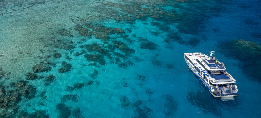 Great Barrier Reef Day Trip from Cairns