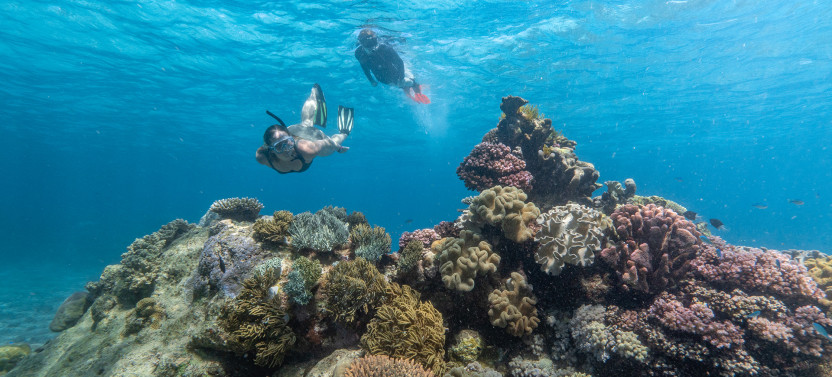Great Barrier Reef Day Trip from Cairns
