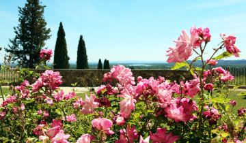 A picture of Two Day Intensive Châteauneuf-du-Pape & Rhône Valley Wine Experience