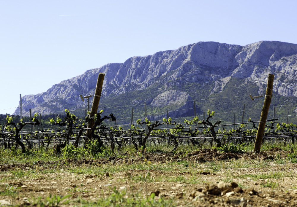 Two-Day Grand Wine Journey of Provence