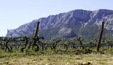 A picture of Two-Day Grand Wine Journey of Provence