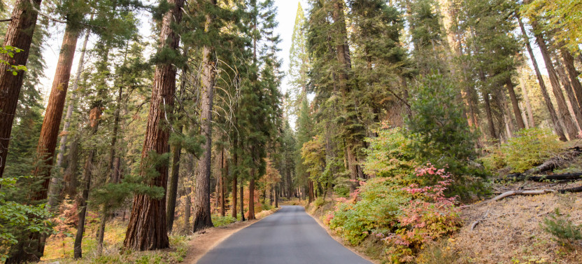 Sequoia & Kings Canyon National Park Self-Driving Audio Tour