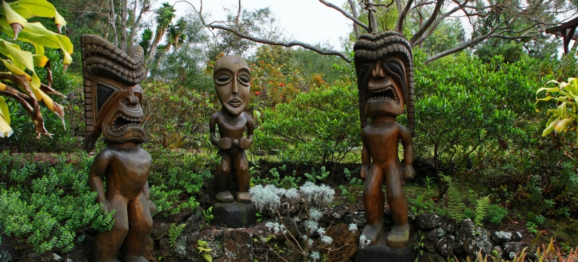 Ultimate Self-Guided Maui Sunrise Driving Tour