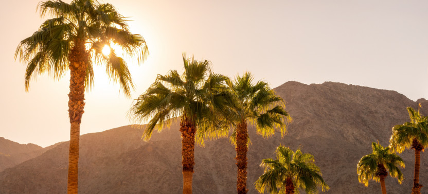 Palm Springs Self Guided Driving Audio Tour