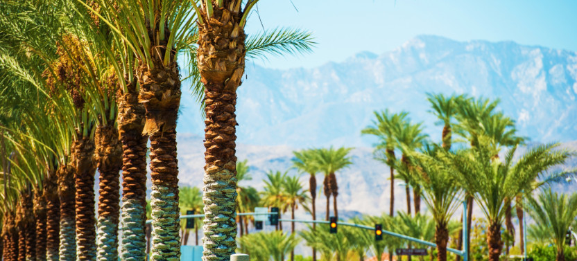 Joshua Tree And Palm Springs Self-Guided Driving Audio Tour