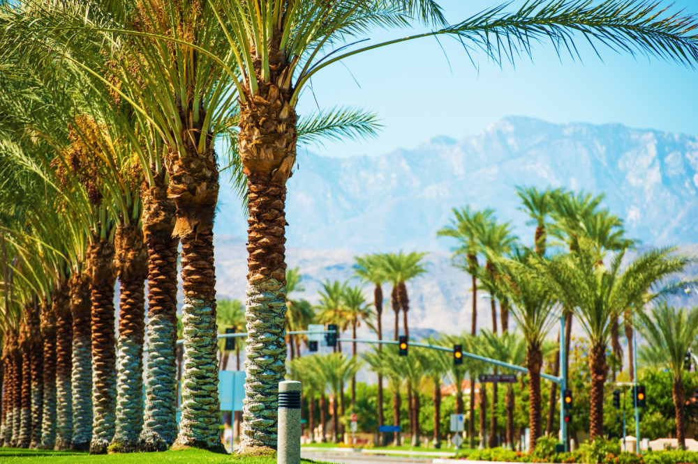 Joshua Tree And Palm Springs Self-Guided Driving Audio Tour