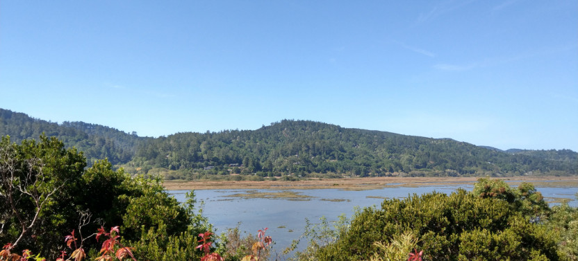 Point Reyes National Seashore Self-Guided Driving Tour