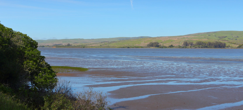 Point Reyes National Seashore Self-Guided Driving Tour