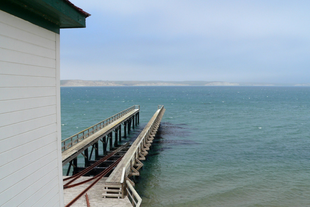 Point Reyes National Seashore Self-Guided Driving Tour - San Francisco ...