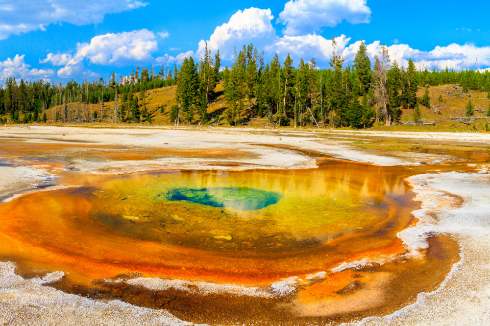 Grand Teton & Yellowstone Self-Guided Driving Tours Bundle