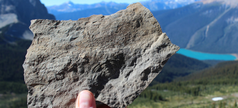 Yoho National Park Self-Guided Driving Audio Tour