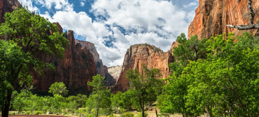Zion & Bryce Self-Guided Driving Tours Bundle