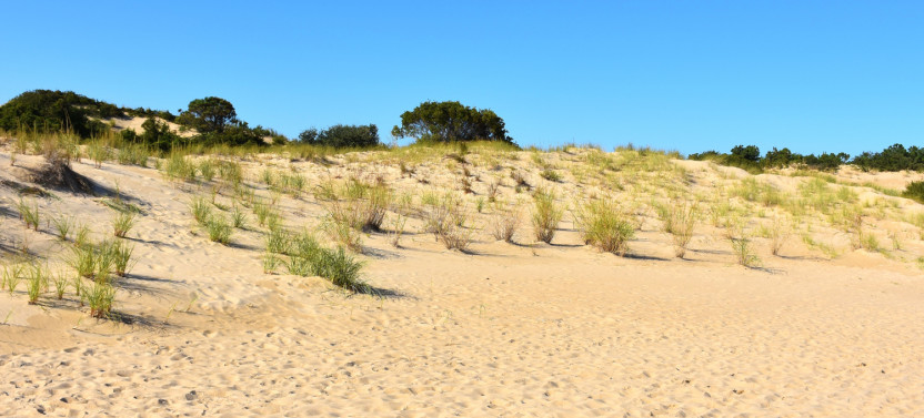 Cape Hatteras National Seashore Self-Guided Driving Audio Tour