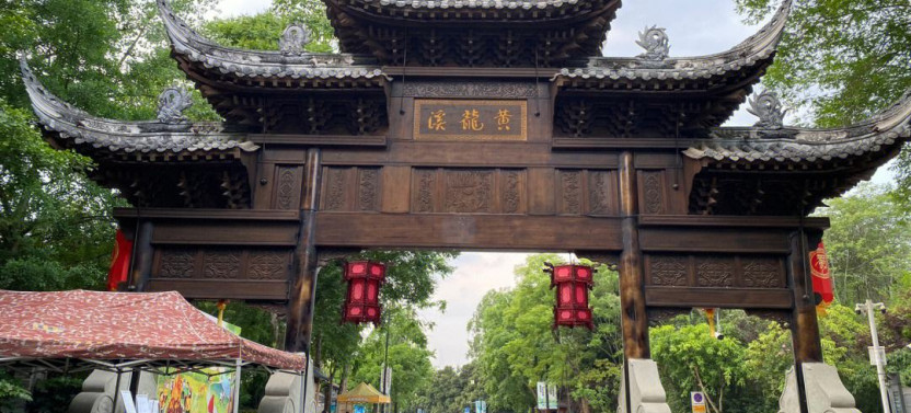 Chengdu Private Day Tour to the Leshan Giant Buddha and Huanglongxi Old Town