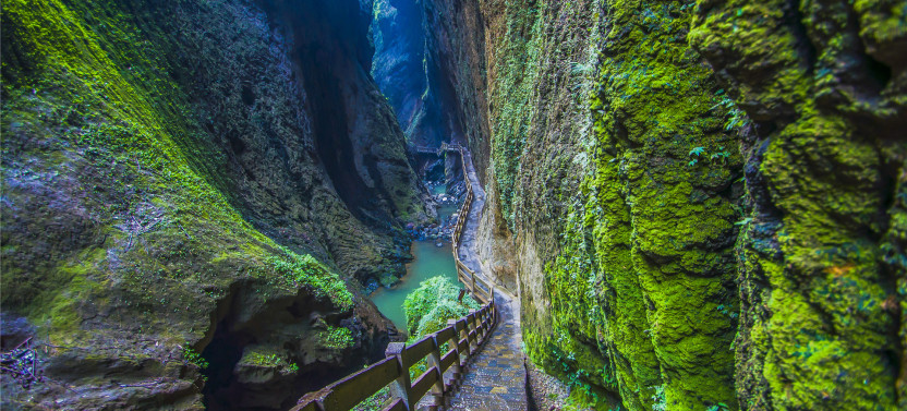 Chongqing: Private Day Tour to Wulong Karst Geological Park