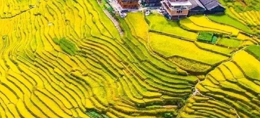 Private Day Tour to Longji Rice Terraces and Long Hair Village from Guilin