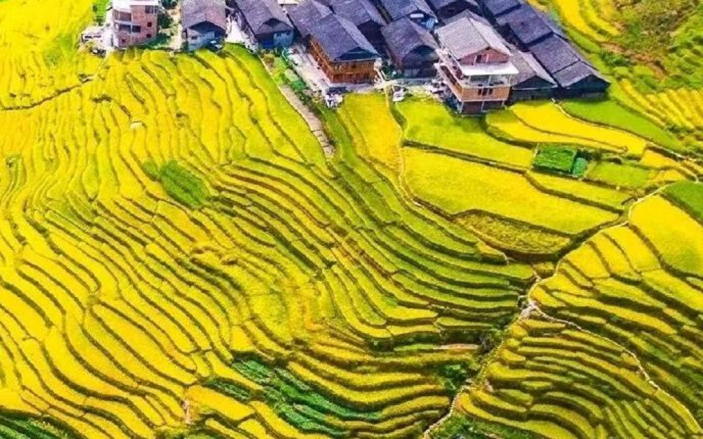 Private Day Tour to Longji Rice Terraces and Long Hair Village from Guilin