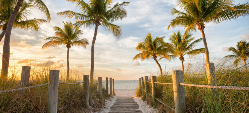 Florida Self-Guided Driving Tours Bundle