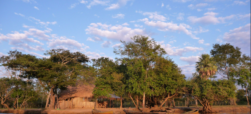 Fascinating Amazonia - 5 Day Journey