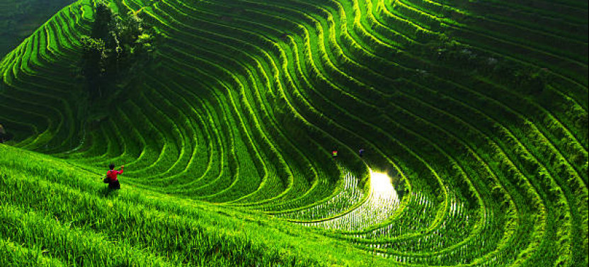 3-Day Private Guilin Tour: Highlights, Longji Rice Terrace, Yangshuo Cruise
