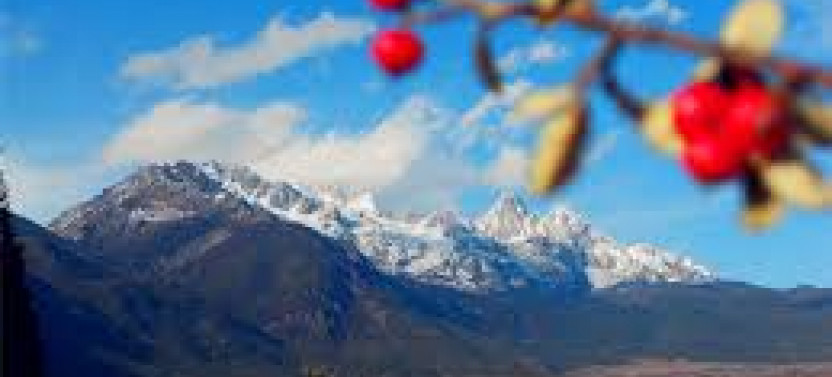 Lijiang Private Day Tour to Jade Dragon Snow Mountain, Impressions Show and More