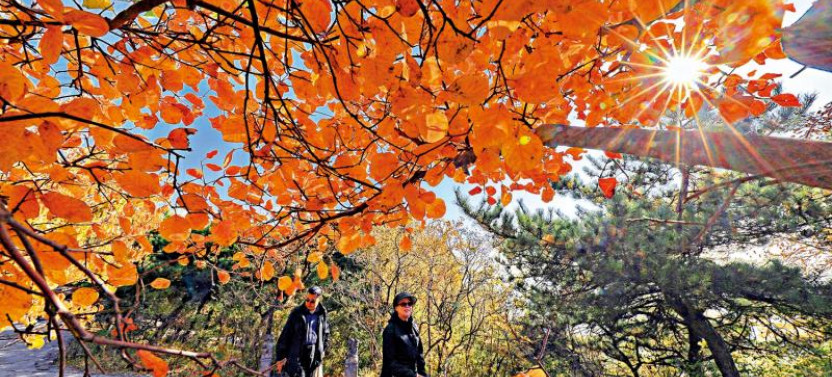 Beijing Private Tour to Summer Palace and Fragrant Hill with Cable Car Ride