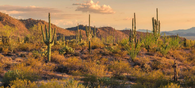Ultimate Arizona Including Grand Canyon Self-Guided Tours Bundle