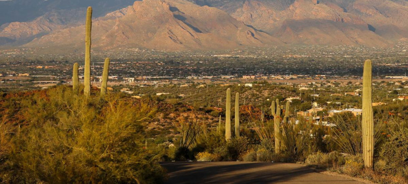 Mount Lemmon Scenic Byway Self-Guided Driving Audio Tour
