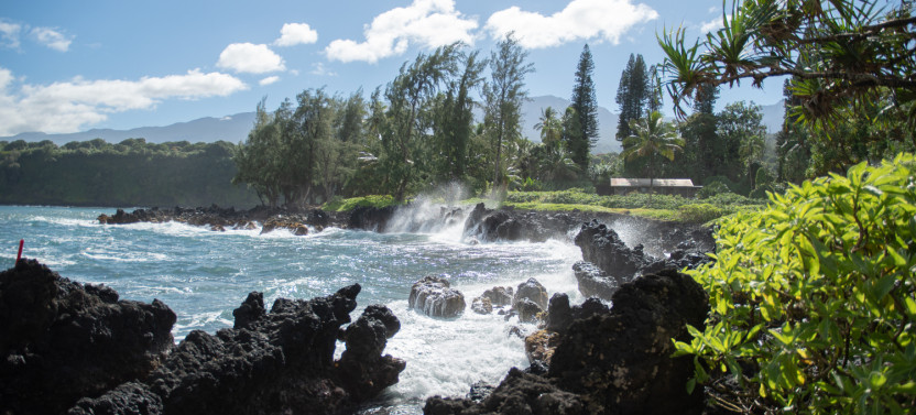Maui Self-Guided Driving Tours Bundle