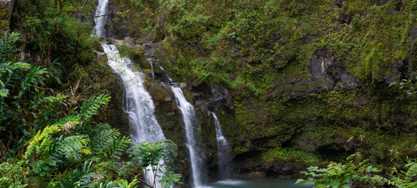 Maui Self-Guided Driving Tours Bundle