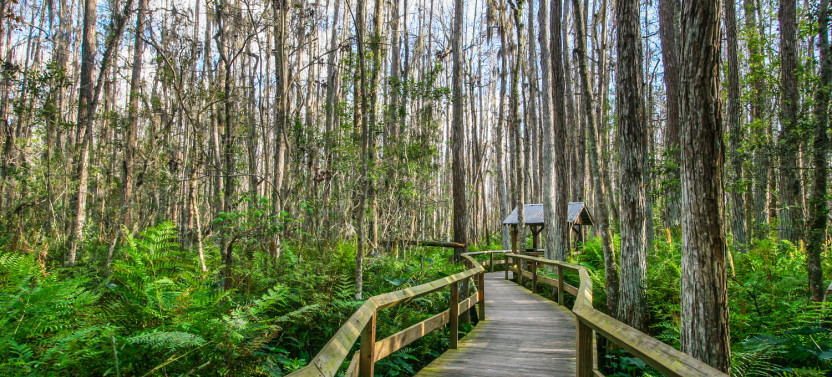 Everglades National Park: The Ultimate Self-Guided Tour
