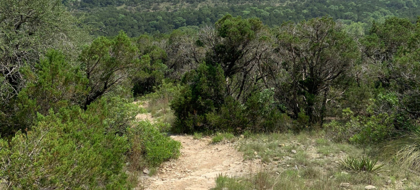 Austin Self-Guided Driving & Walking Audio Tour