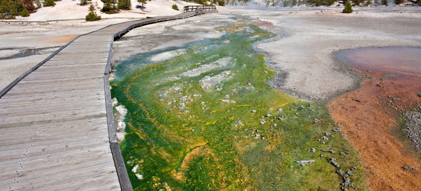 Old Faithful Self-Guided Walking Audio Tour